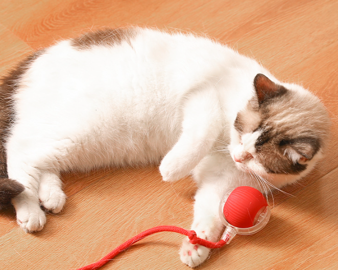 Pelota Interactiva